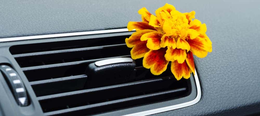 DIY Car Air Freshener, How to Make Car Air Freshener