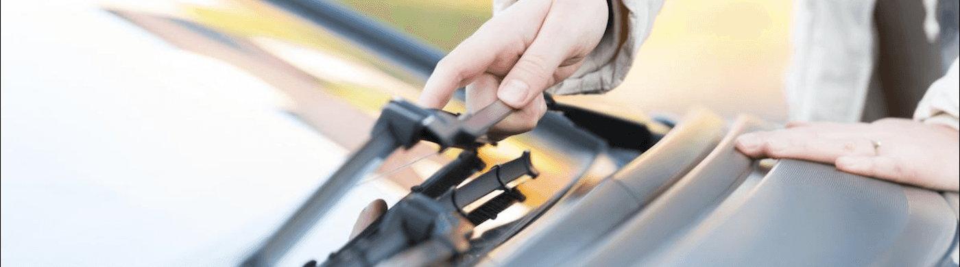 Woman Holding Windshield Wipers