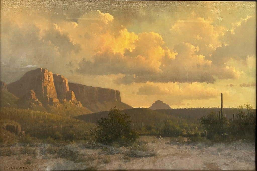 Michael Stack desert painting