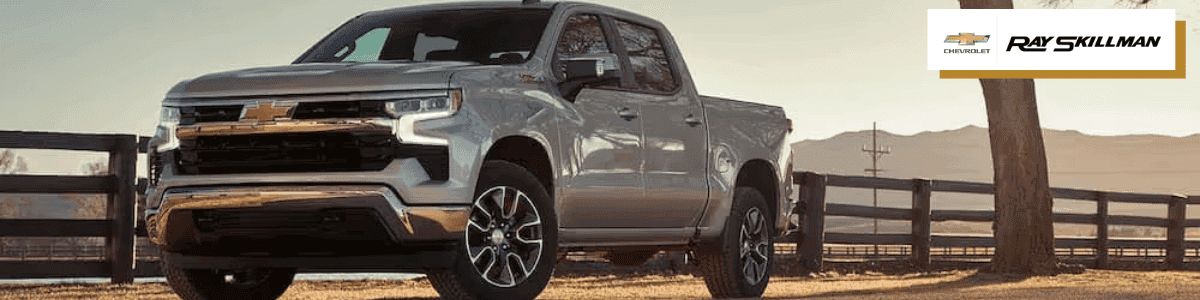 used Chevrolet Silverado 1500 for sale near Whiteland, Indiana - silver Silverado parked next to a fence