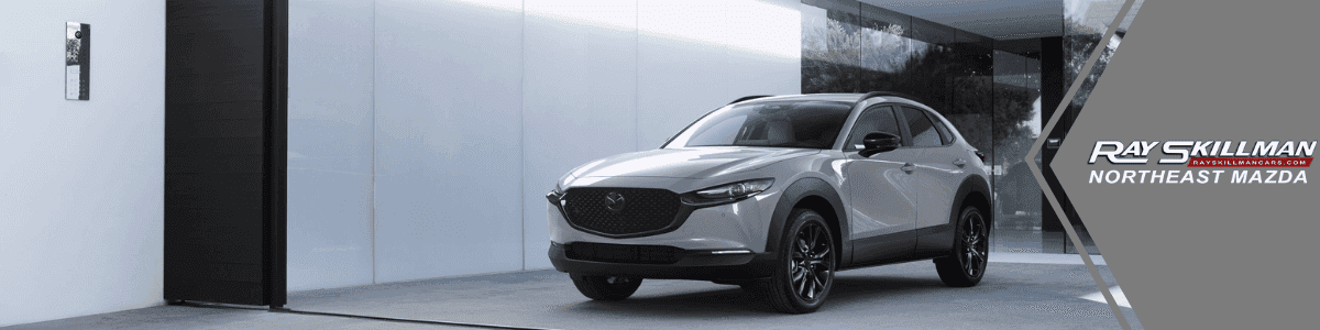 Mazda-CX-30-Noblesville-Indiana-banner