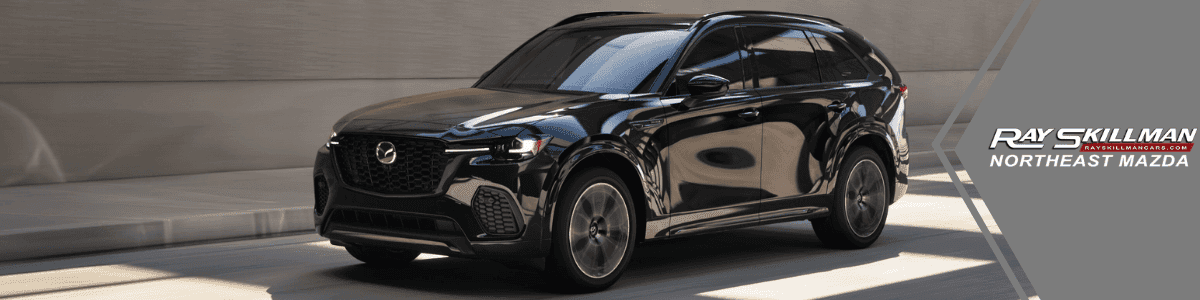 Mazda-Plug-in-Hybrid-Southport-Indiana---banner