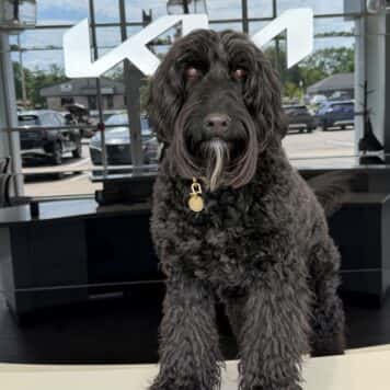 Oscar .