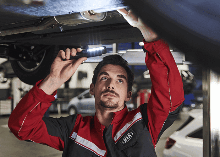 Kia Dealer Danville Indiana - Kia service