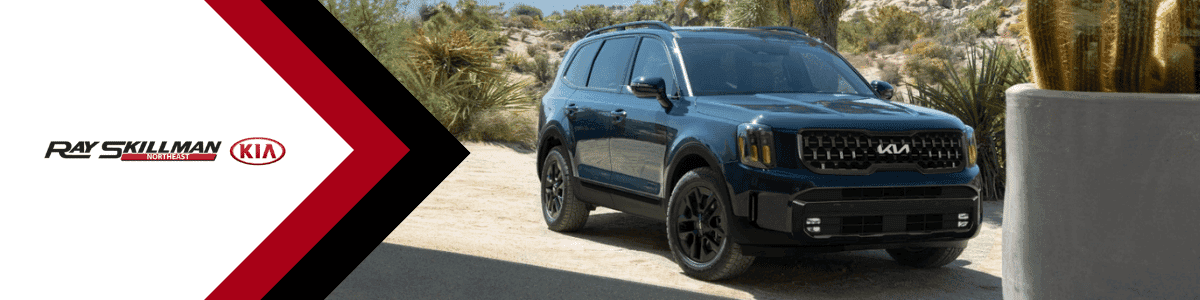 Kia Telluride Plainfield, IN - banner image