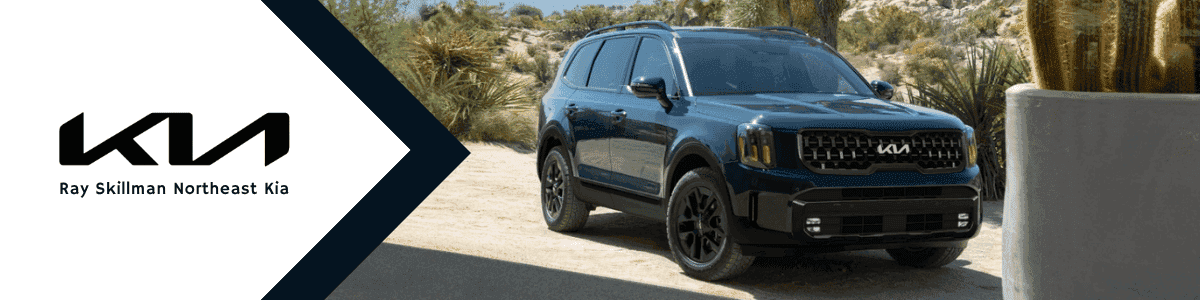 Kia Telluride Plainfield, IN - banner image