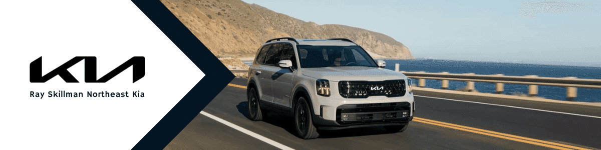 Kia Telluride Southport Indiana - banner
