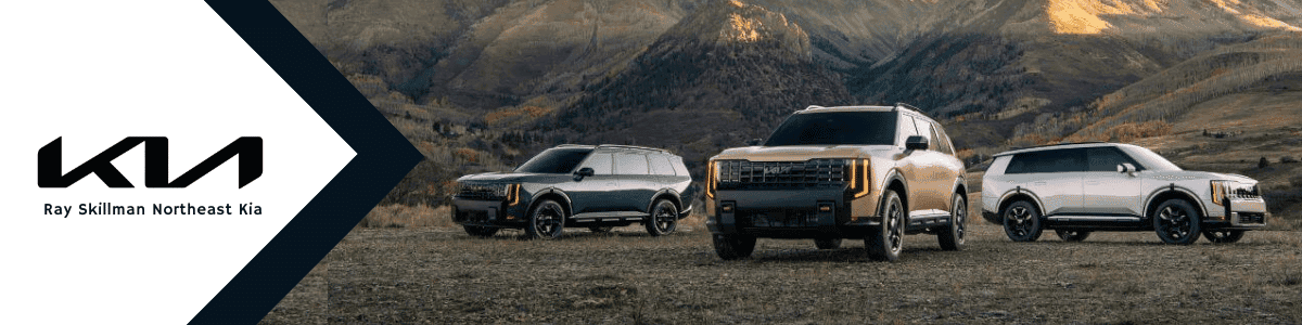 Indiana Kia Dealerships - page banner