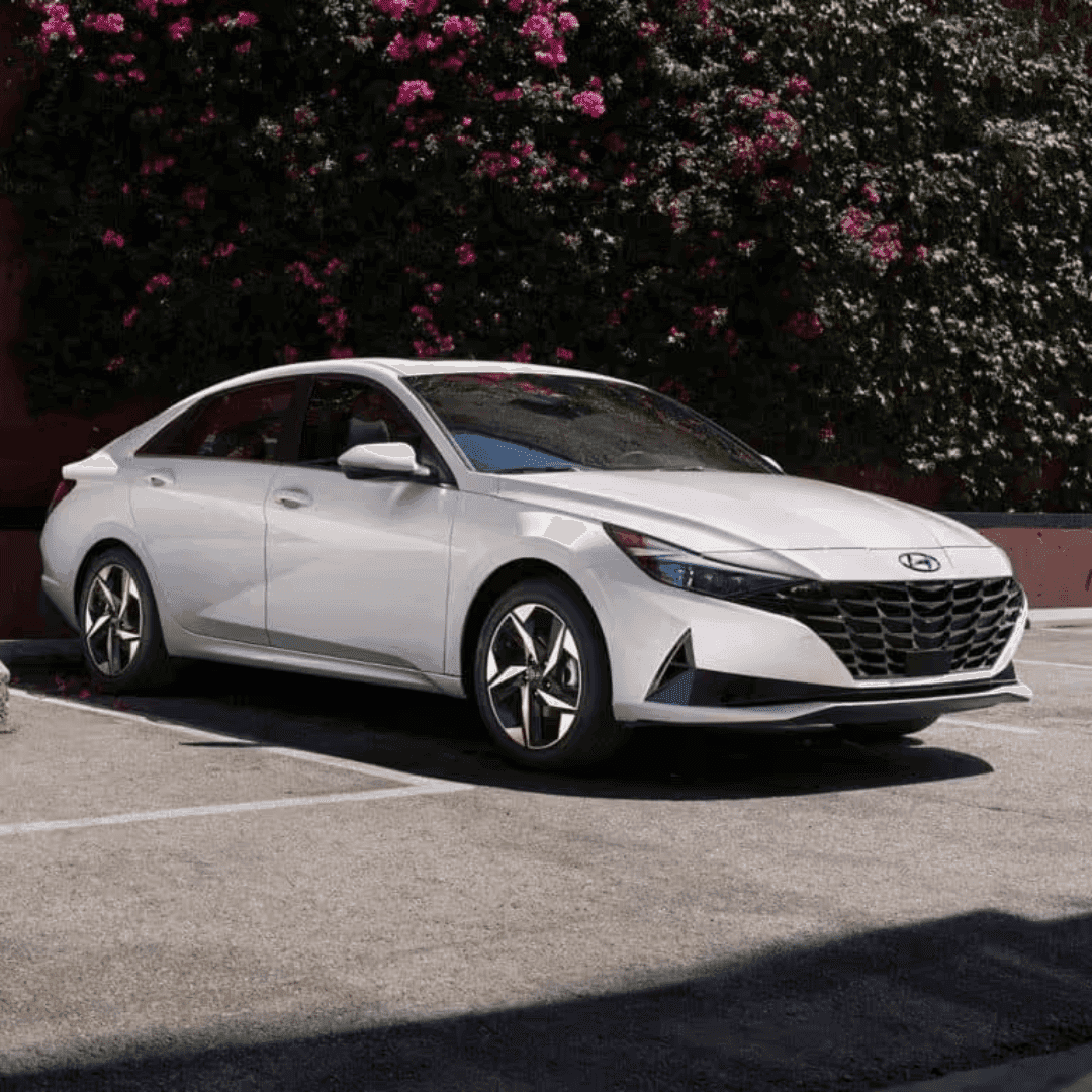 used Hyundai Elantra Bargersville, indiana - white Elantra