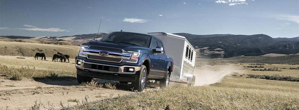Ford F-150 Towing a Horse Trailer