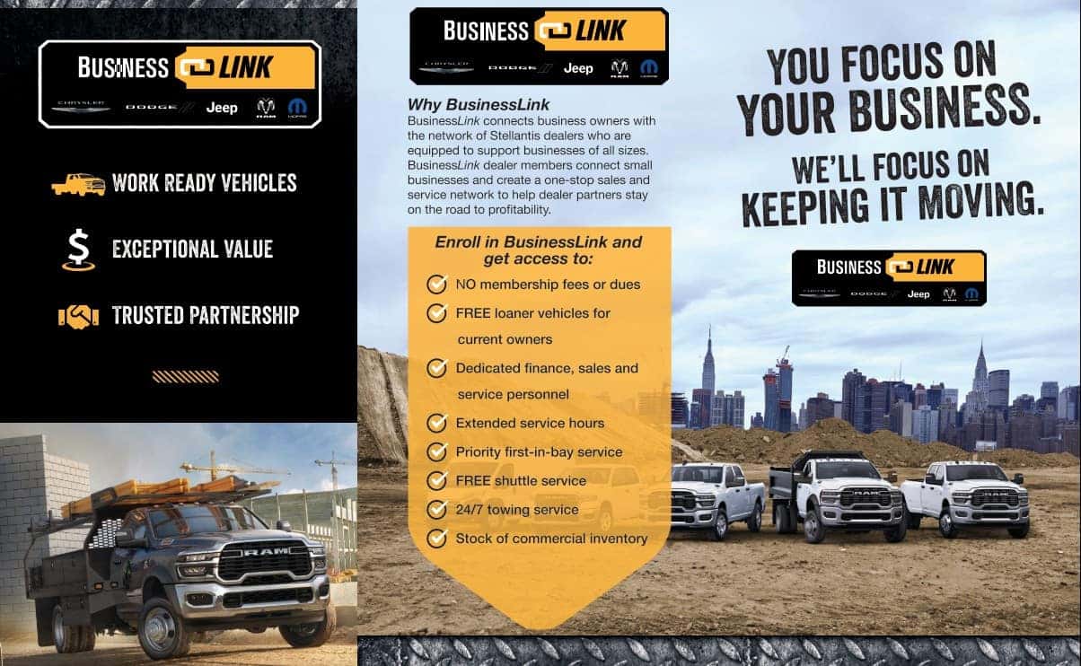 Bizlinkflyer