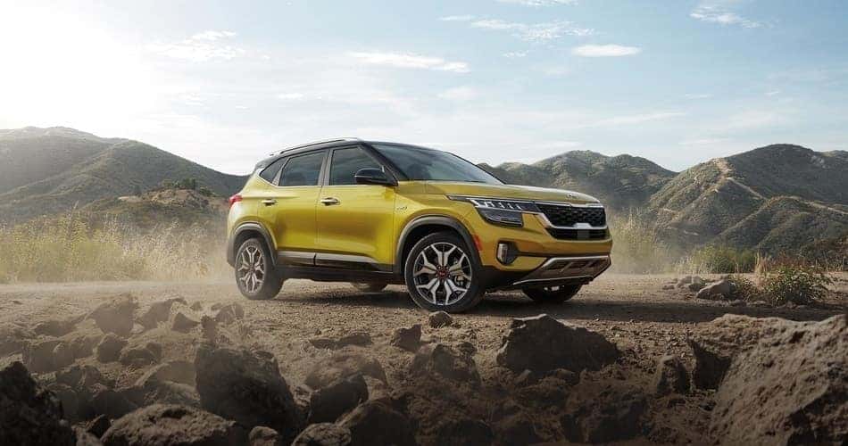 Kia Seltos Off Road