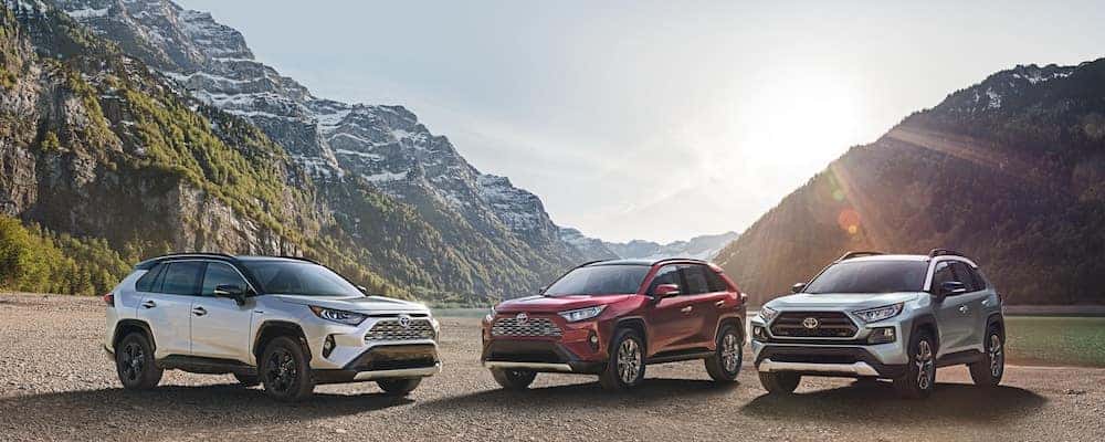 2019 Toyota Rav4 Colors Rav4 Color Options Toyota Of