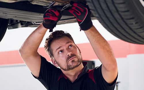 OIL CHANGE & DIFFERENTIAL SERVICE SPECIAL