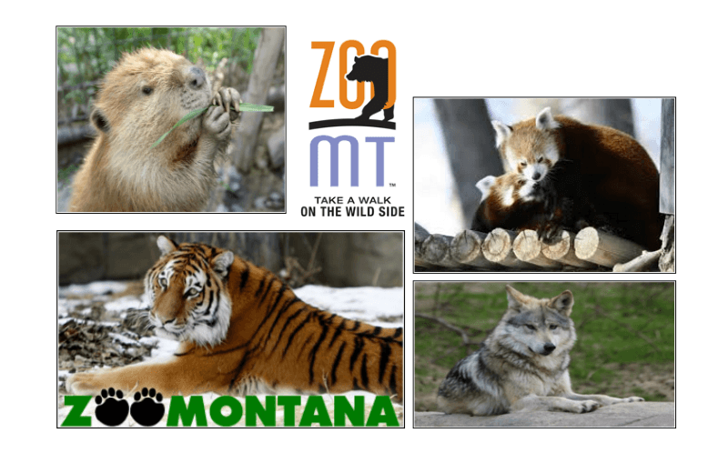 ZooMontana