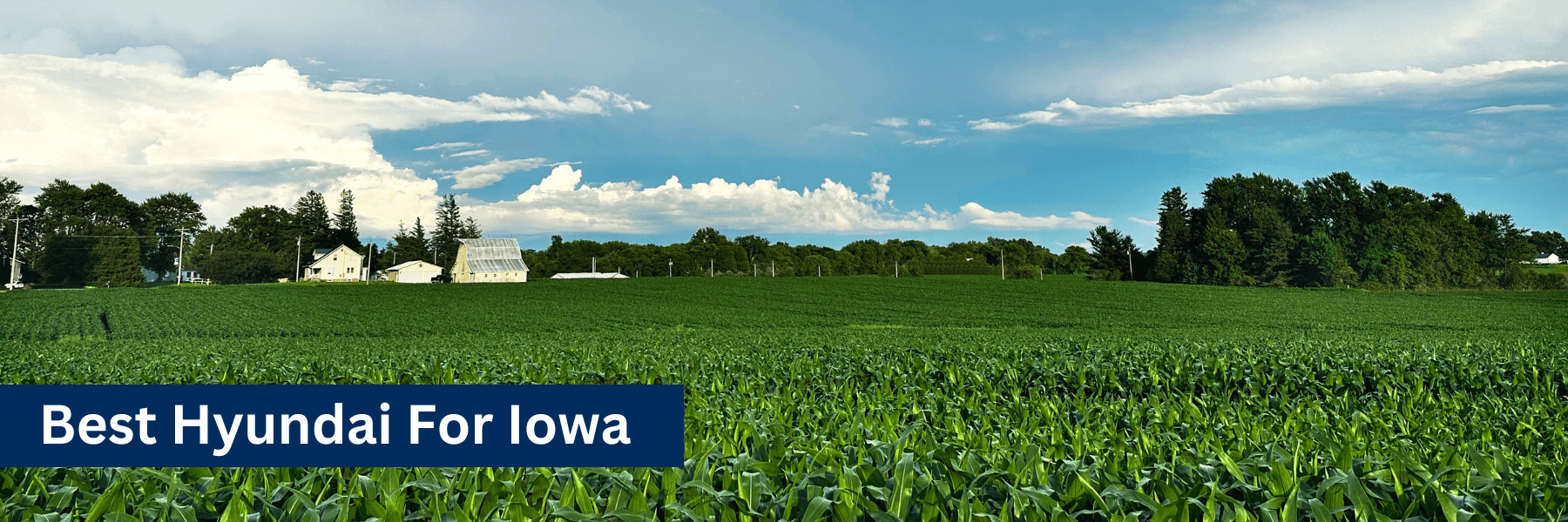 Iowa landscape in the summer. Best Hyundai vehicle for Iowa drivers