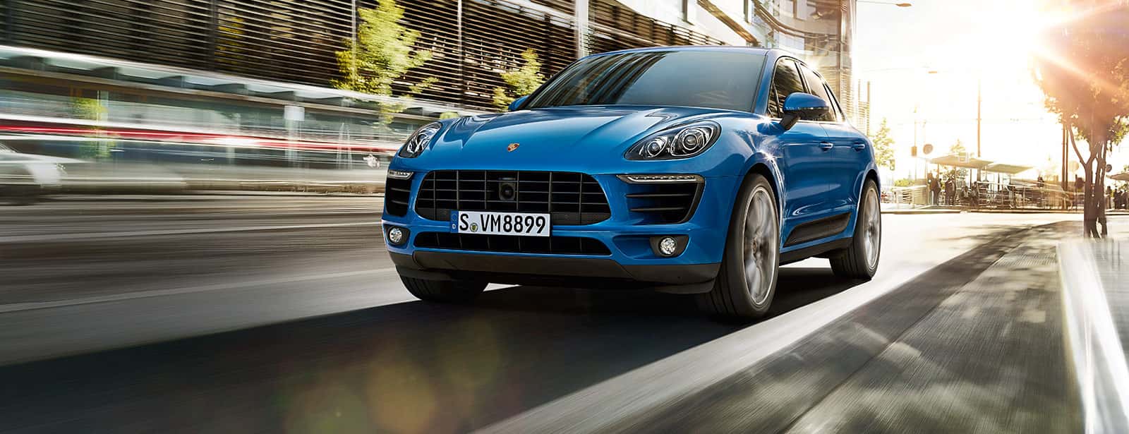Macan Banner