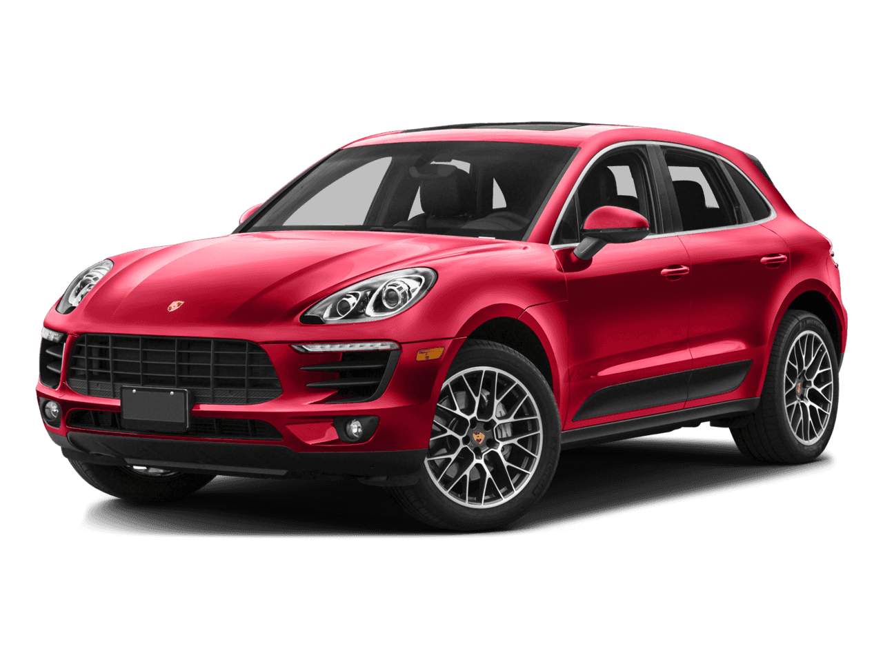Macan On White