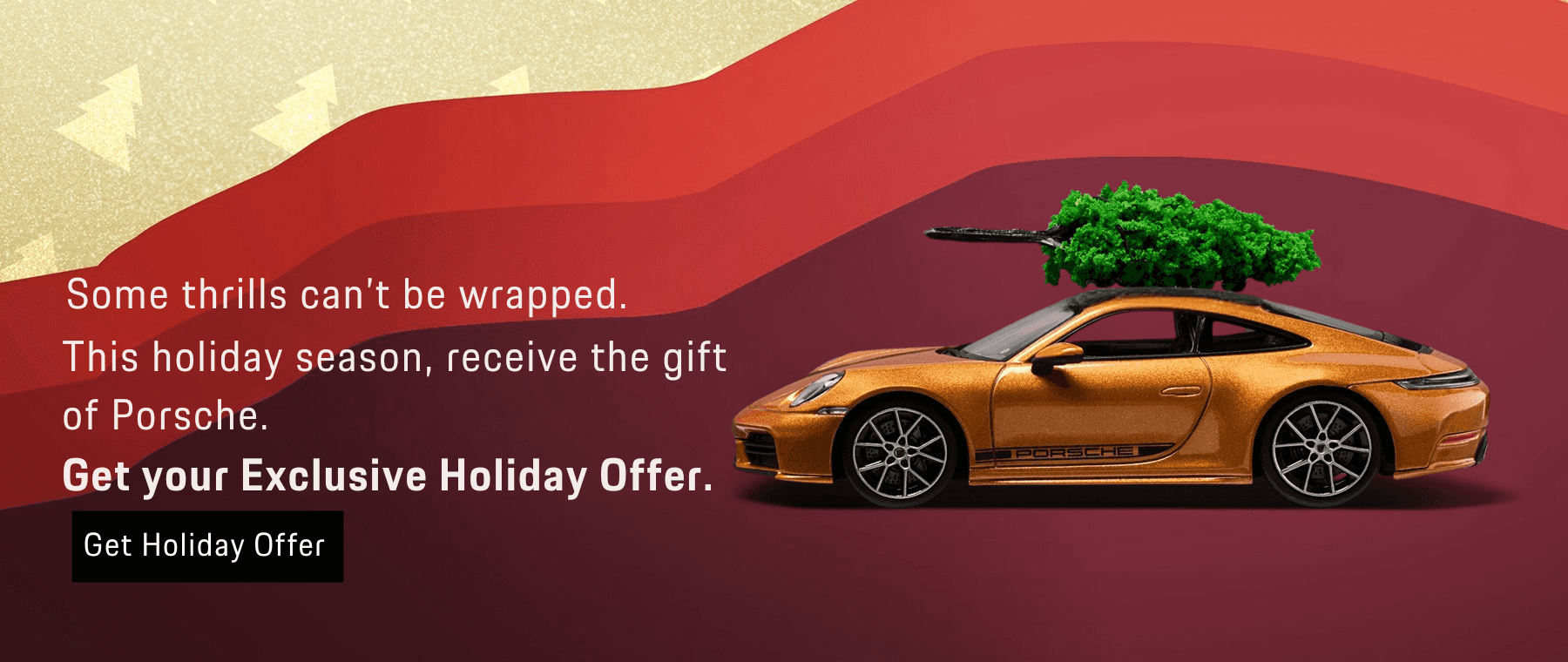 Holiday Offer